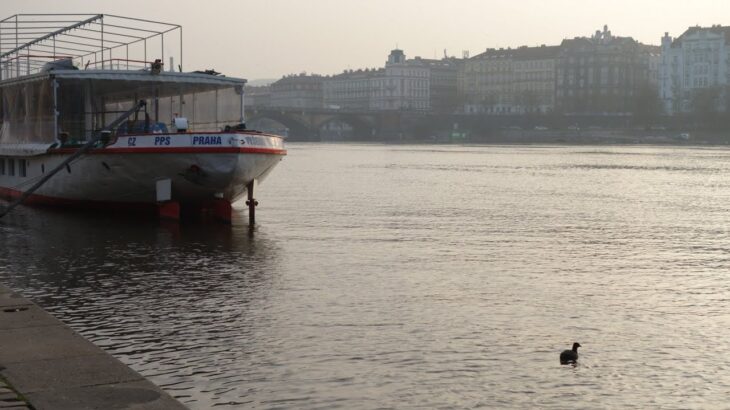 【オンラインヨーロッパ旅行】Vol.4 モルダウ川の畔を歩く【プラハ】walking next to Vltava river in Prague online sightseeing Czech