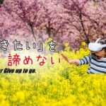 《 5.7K 高画質 》ばあちゃんをVRで伊豆へ[ 360° VR  Japan Travel ] 【Shizuoka】静岡県《絶景》