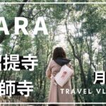 奈良観光おすすめの旅！唐招提寺とローカル推しの観光スポット月ヶ瀬を巡る旅。奈良のソウルフード・彩華ラーメンも食します。【SUB】Japan Nara trip