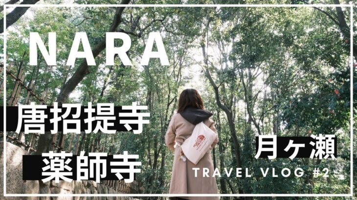 奈良観光おすすめの旅！唐招提寺とローカル推しの観光スポット月ヶ瀬を巡る旅。奈良のソウルフード・彩華ラーメンも食します。【SUB】Japan Nara trip