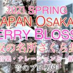 【4k JAPAN OSAKA】大阪にある桜の観光名所を心温まる音楽・ナレーションと共にご紹介します  / Japan Osaka Cherry Blossom Spot (sakura)