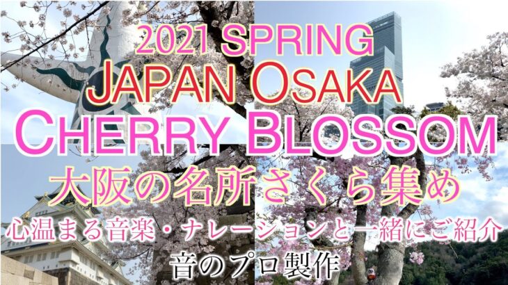 【4k JAPAN OSAKA】大阪にある桜の観光名所を心温まる音楽・ナレーションと共にご紹介します  / Japan Osaka Cherry Blossom Spot (sakura)