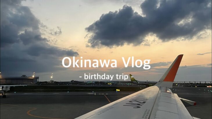 【沖縄Vlog】今だからこそ国内旅行を楽しもう🌺大学生カップルの沖縄2泊3日の旅🌤