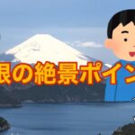 【箱根】絶景ポイントご紹介する動画