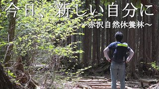 【絶景一人旅】 今日、新しい町に旅に出た。新しい自分になれた気がした。「赤沢自然休養林」【長野県木曽郡】beautiful spot in japan 「Recreation Forest」