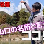 【山口県観光スポット紹介】オススメ第1位の観光地へ行ってきた！