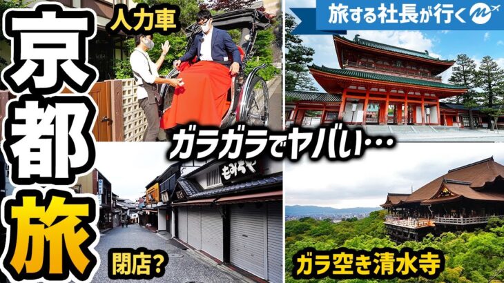 日帰り京都観光42歳ひとり旅。おすすめスポットを巡ったVLOG【夏の清水寺】