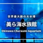 《 5.7K VR 高画質 》[ 360°  Japan Travel ]美ら海水族館　沖縄県本部町　VRゴーグル推奨