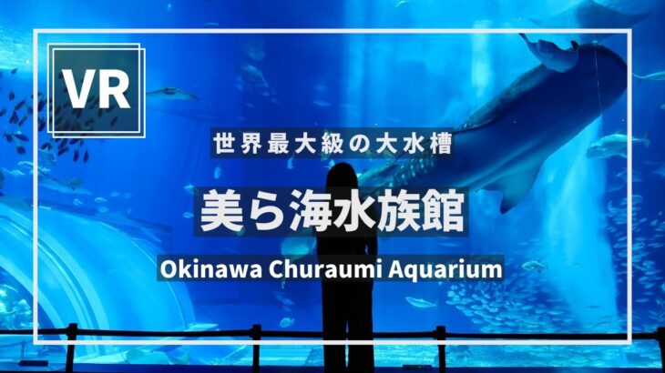 《 5.7K VR 高画質 》[ 360°  Japan Travel ]美ら海水族館　沖縄県本部町　VRゴーグル推奨