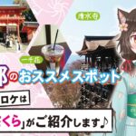 【京都観光】Vたび！おススメスポット　東寺・清水寺周辺