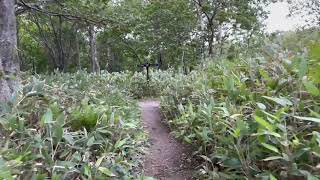 観光地紹介　世界遺産　知床半島　北海道　斜里町