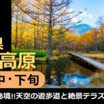 【国内旅行おすすめ】長野で10月末までの絶景を求めて！ 2021年10月中・下旬 1泊2日 東京発 白樺高原 その2 秘境!!天空の遊歩道と絶景テラス