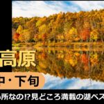 【国内旅行おすすめ】今年の秋は特別なイベントが！ 2021年10月中・下旬 1泊2日 東京発 白樺高原 その1『こんな良い所なの!?見どころ満載の湖 ベスト3』