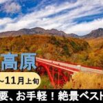 【国内旅行おすすめ】『登山不要、お手軽！清里高原の秋の絶景ベスト3』2021年10月下旬～11月上旬 1泊2日 東京発 清里高原 その1