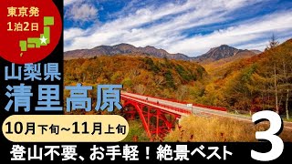 【国内旅行おすすめ】『登山不要、お手軽！清里高原の秋の絶景ベスト3』2021年10月下旬～11月上旬 1泊2日 東京発 清里高原 その1