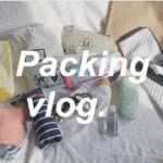 【packing vlog】1泊2日国内旅行パッキング