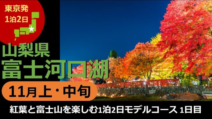 【国内旅行おすすめ】ワイナリー、絶景、リゾートホテルと盛りだくさん！ 2021年11月上・中旬 1泊2日 東京発 富士河口湖（山梨県） その6『紅葉と富士山を楽しむ1泊2日のモデルコース1日目』