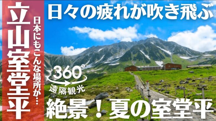 【360度VR】絶景 夏の立山室堂平 みくりが池温泉までを散策（Japan alps superb view Murodo, Tateyama Kurobe Alpine Route）