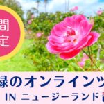 【オンラインツアー】★期間限定★ベテランガイドと巡る！花と緑のオンラインツアー in ニュージーランド 紹介ビデオ