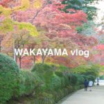 【和歌山】高野山の紅葉を撮って来た！｜観光スポット紹介｜地元民に愛されるお店紹介