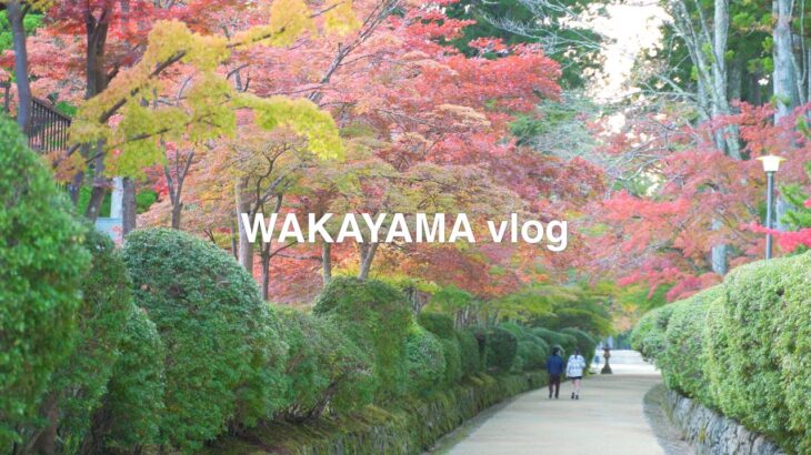 【和歌山】高野山の紅葉を撮って来た！｜観光スポット紹介｜地元民に愛されるお店紹介