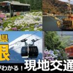 【国内旅行おすすめ】電車・ロープウェイ・遊覧船のリレーと、広域をカバーするバス。【冬旅行／神奈川県／国内旅行／Hakone／Onsen】