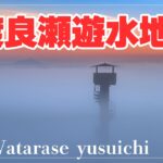 渡良瀬遊水地～雲海のような絶景、筑波山のシルエット（Watarase yusuichi)