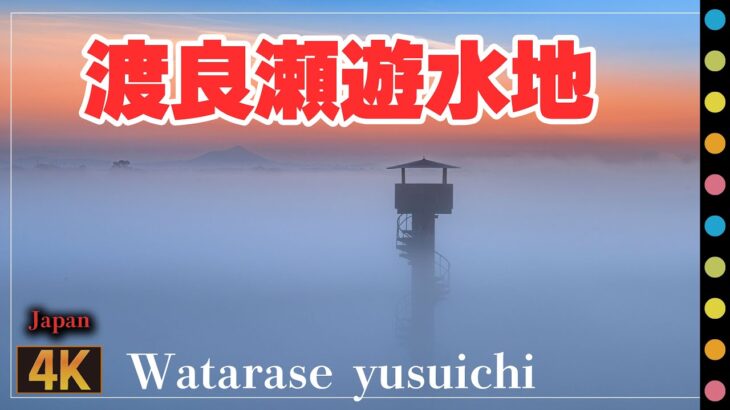 渡良瀬遊水地～雲海のような絶景、筑波山のシルエット（Watarase yusuichi)