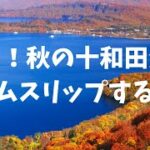【Google Earth VR 日本一周の旅 #4】青森の十和田湖ってとこは紅葉がきれいじゃねえか！！！