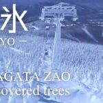 日本の冬の絶景　山形蔵王の樹氷