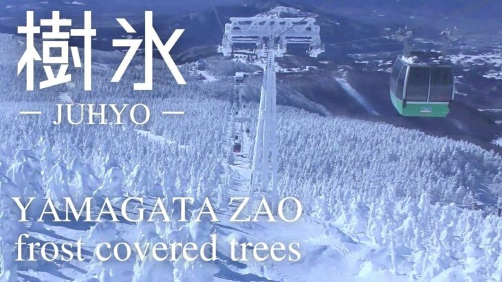 日本の冬の絶景　山形蔵王の樹氷
