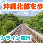 【沖縄オンライン旅行】  沖縄北部の大自然と集落を歩きながら巡る旅