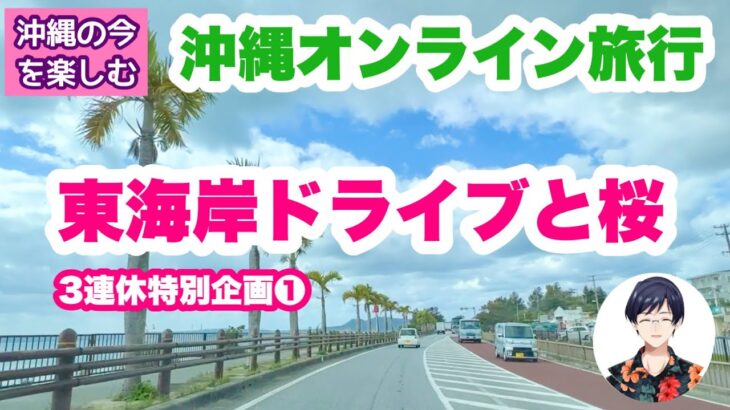 【沖縄オンライン旅行】  東海岸ドライブと観光地＆桜を巡る旅・３連休特別企画①