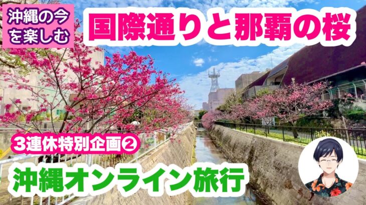 【沖縄オンライン旅行】  国際通りと那覇の桜を巡る旅・３連休特別企画②