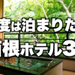 【本気で厳選】箱根湯本駅エリア旅行デートおすすめホテル！人気宿3選（2022年版）