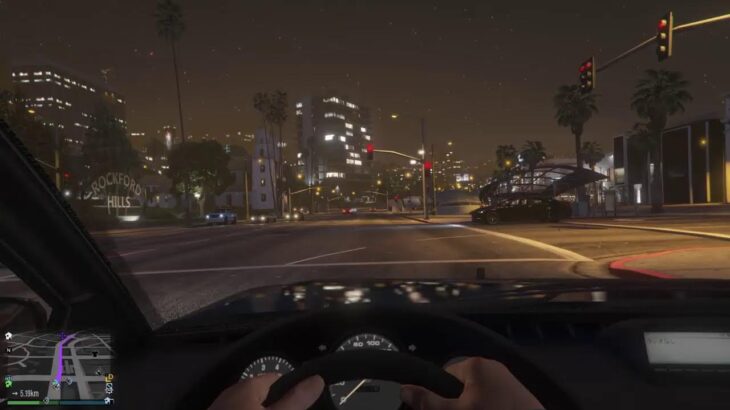 GTA5のんびり旅行記　オンライン編　医療ミスで内出血SP