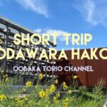 [Vlog#05]小田原と箱根にヒーリング旅行🌤超おすすめ！江ノ浦測候所🌱