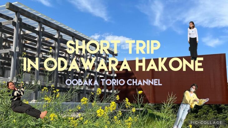 [Vlog#05]小田原と箱根にヒーリング旅行🌤超おすすめ！江ノ浦測候所🌱