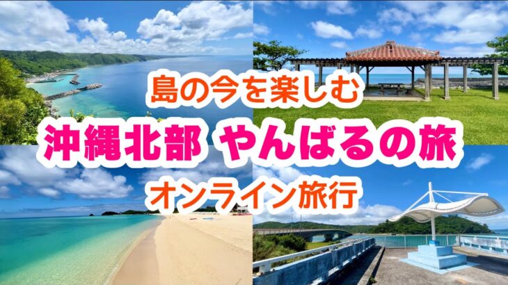【沖縄オンライン旅行】  沖縄北部 やんばるを巡るドライブ旅
