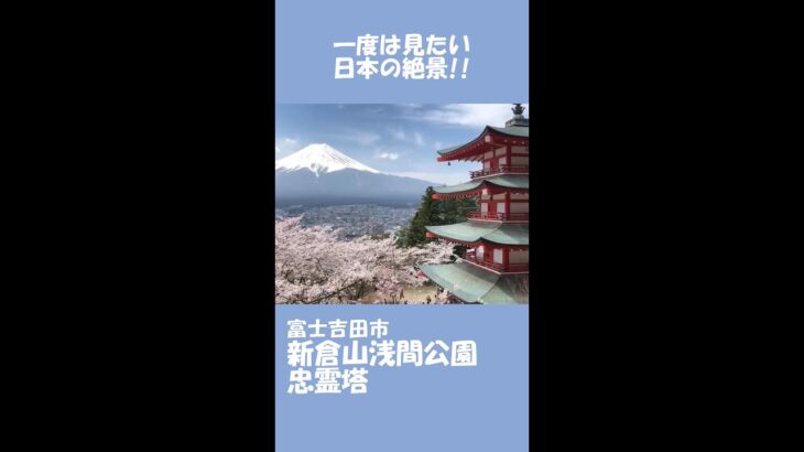 3時間待ちの大行列！忠霊塔、富士山、桜の絶景