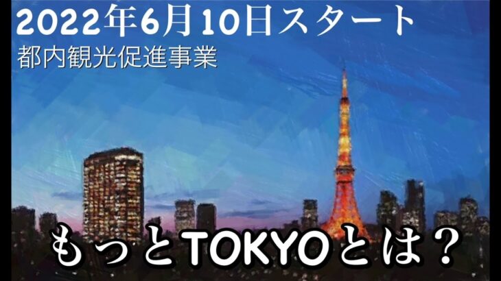 【東京都民の旅行が安くなる】もっとＴＯＫＹＯとは？【都内観光促進事業】