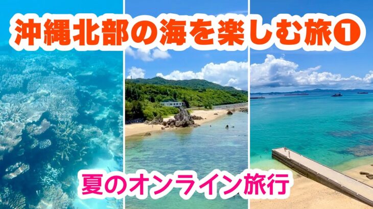 【沖縄オンライン旅行】沖縄北部の海を楽しむ旅①「連休特別企画 7月17日(日)10:00〜」