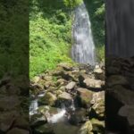 鳥取　雨滝渓谷が癒し。#鳥取　#鳥取観光 #国内旅行　#旅行　#滝　#癒し　#パワースポット #絶景　#japanvlog #japantravel