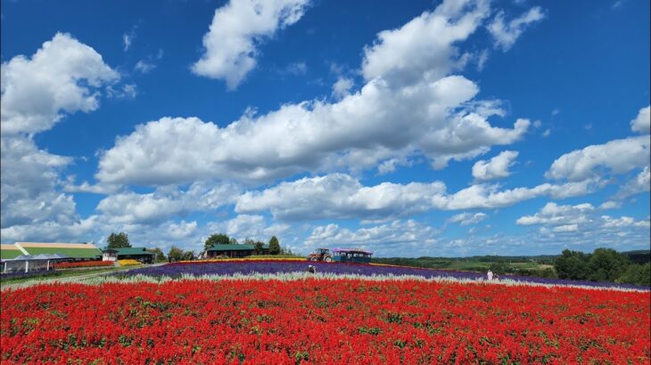【VR 360°】Travel in Flower Land Kamifurano – 日本．富良野