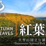 【日本の絶景 VR】日本一早い紅葉！北海道の自然 4K【大雪山国立公園】