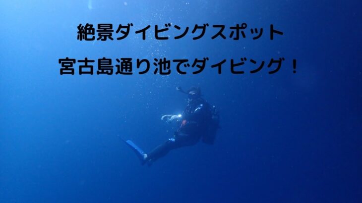 宮古島の通り池でダイビング！日本国内絶景洞窟ダイビングスポット