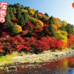 【紅葉】一度は見たい！圧巻の紅葉絶景ランキングTOP10｜紅葉｜絶景｜国内旅行｜旅行｜オススメ｜ランキング