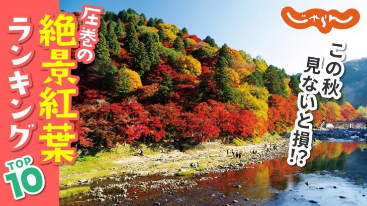 【紅葉】一度は見たい！圧巻の紅葉絶景ランキングTOP10｜紅葉｜絶景｜国内旅行｜旅行｜オススメ｜ランキング