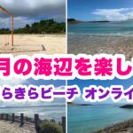 【沖縄オンライン観光】12月の海辺を楽しむ旅：西原きらきらビーチ「沖縄旅行情報」