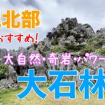 【沖縄旅行】冬こそオススメ！沖縄最北端のパワースポット 大石林山